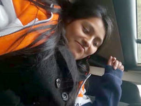 Indian beauty engages in car sex