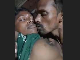 A country couple engages in explicit acts in various segments