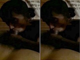 Tamil wife performs oral sex on her husband