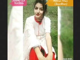 Beautiful girl enjoys oral and vaginal sex in MMS video