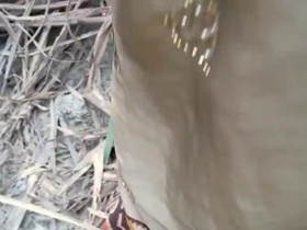 Tamil couple enjoys steamy outdoor sex in public place