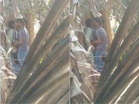Desi couple's outdoor fucking in MMS video part 4