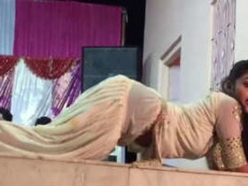 Watch this cute Indian girl get naughty in a sexy dance video