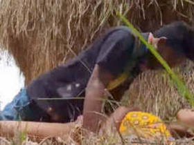 Desi couple fucking in the fields captured in high quality video