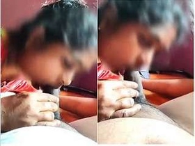 Indian college girl gives a blowjob to her lover