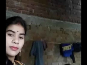 Desi bhabhi's forbidden sex with her devar in MMS video