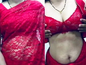 Indian beauty with adorable breasts in traditional saree