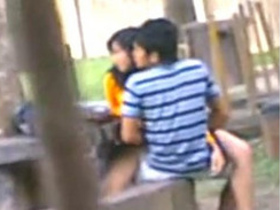 Desi students having sex in a park, recorded by a voyeur