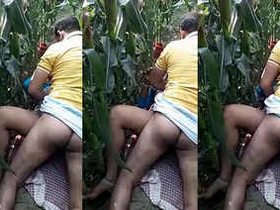 Desi wife gets fucked in the cornfields by her neighbor